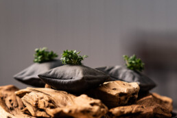 Kreativ servering med friske krydderurter anrettet på sorte stofpuder oven på drivtømmer – gastronomisk kunst i naturligt udtryk.
